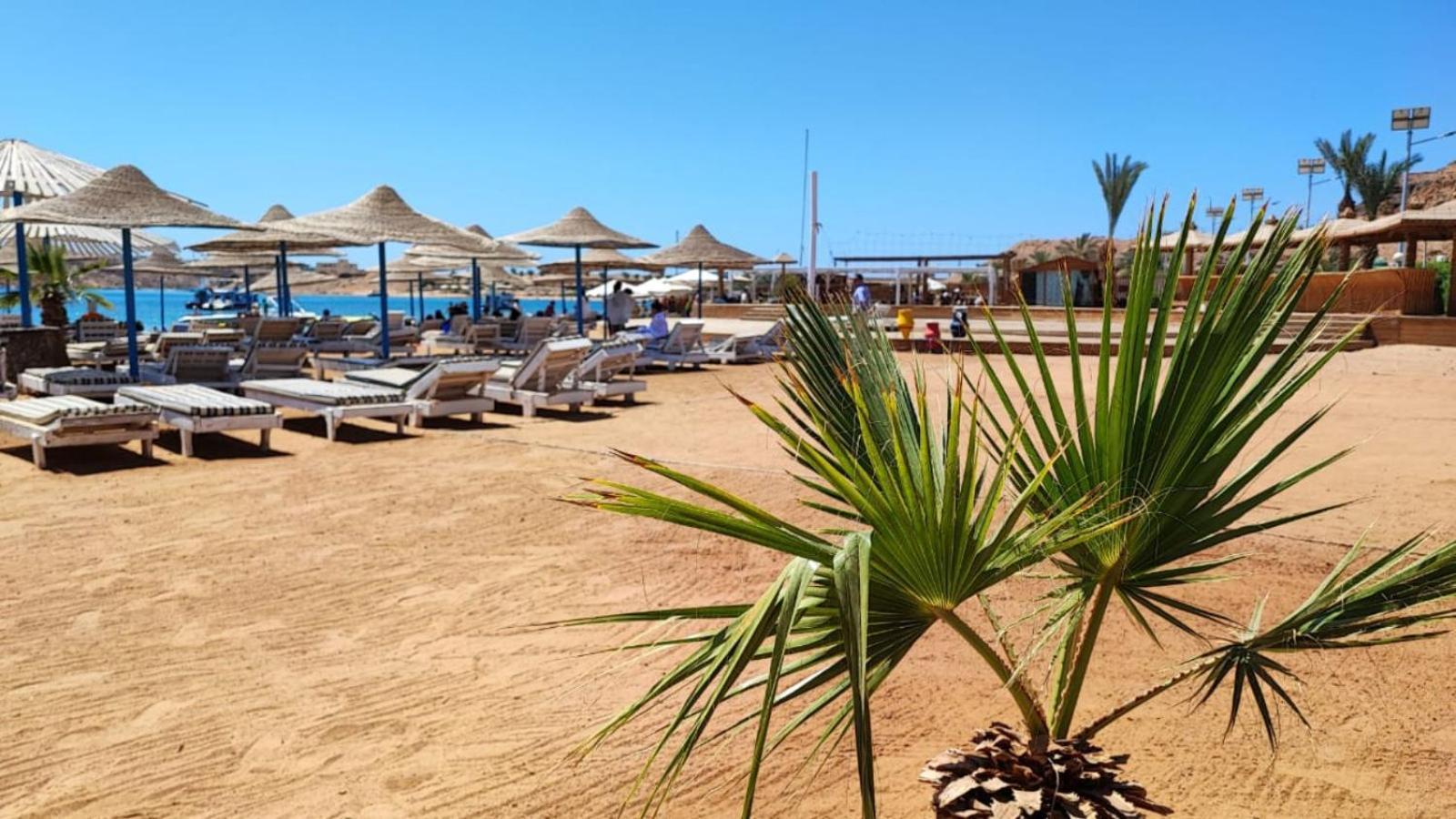 Turquoise Beach Hotel Sharm el-Sheikh Eksteriør billede